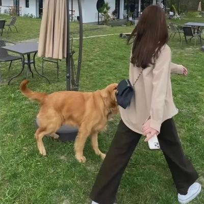 无人能敌